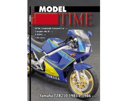 Riviste Auriga Publishing MT326