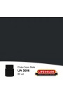 Colori Acrilici Lifecolor UA5006