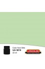 Colori Acrilici Lifecolor UA5019