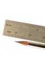 Pennello martora pelo corto 542-4