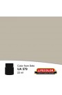Colori Acrilici Lifecolor UA579