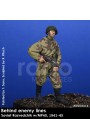 Figure in resina RDM35019